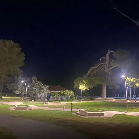 Front * חניוטי
