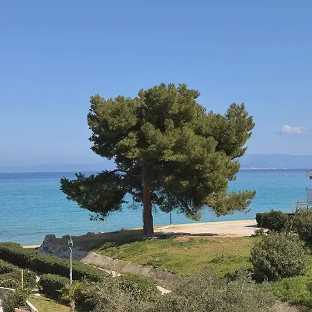 Front * Chaniotis